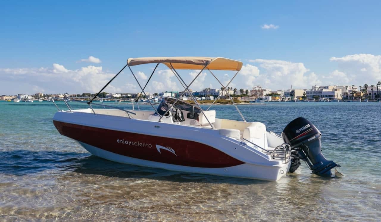 main picture announcement