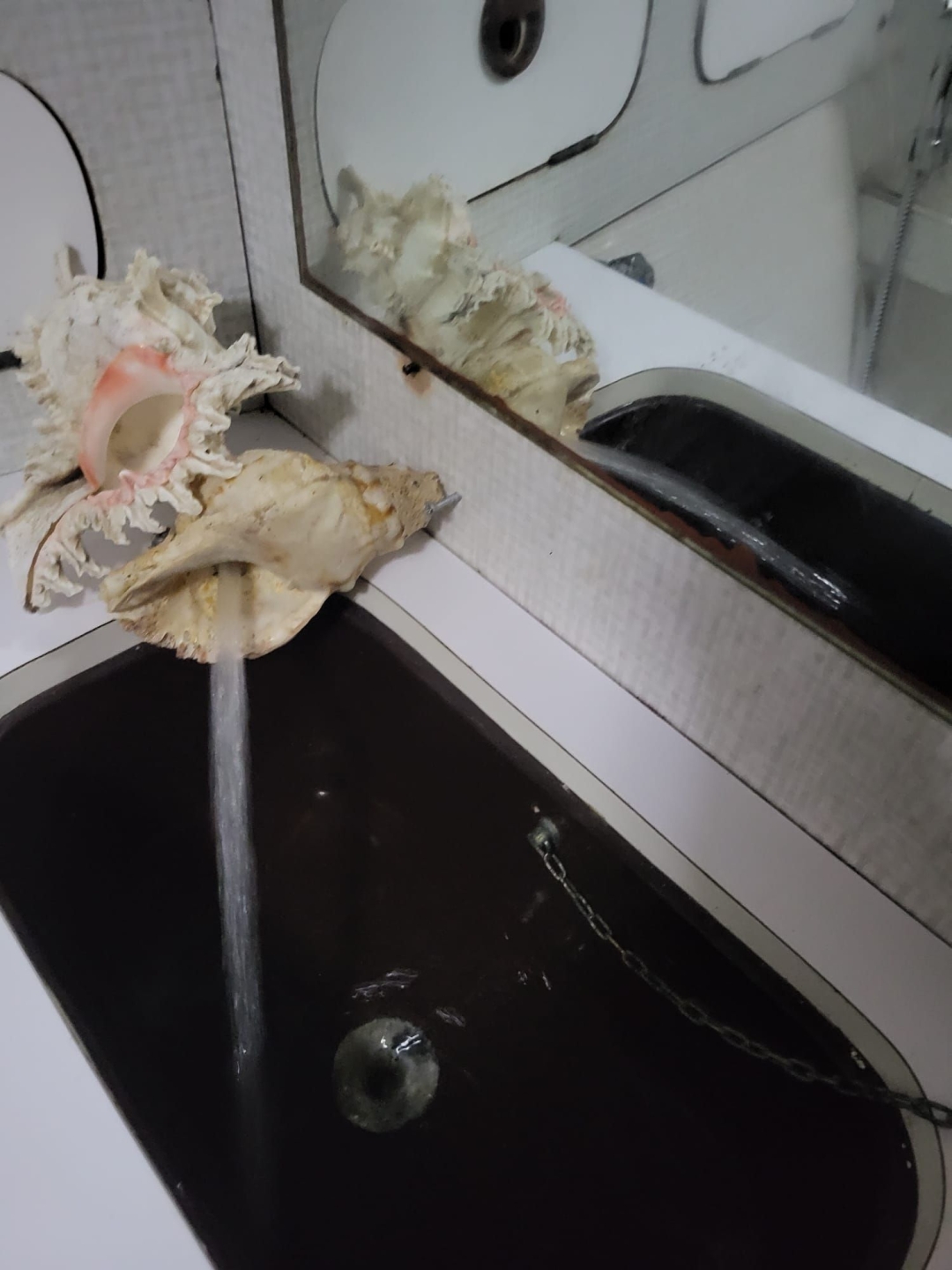 Picture 17 of announcement 19072