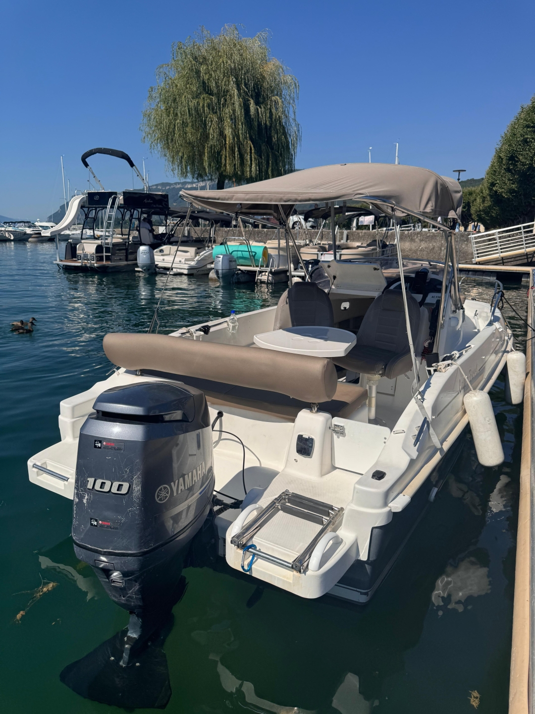 Picture 6 of announcement 19329