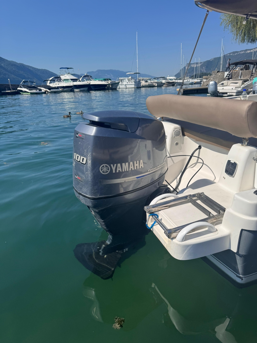 Picture 14 of announcement 19335