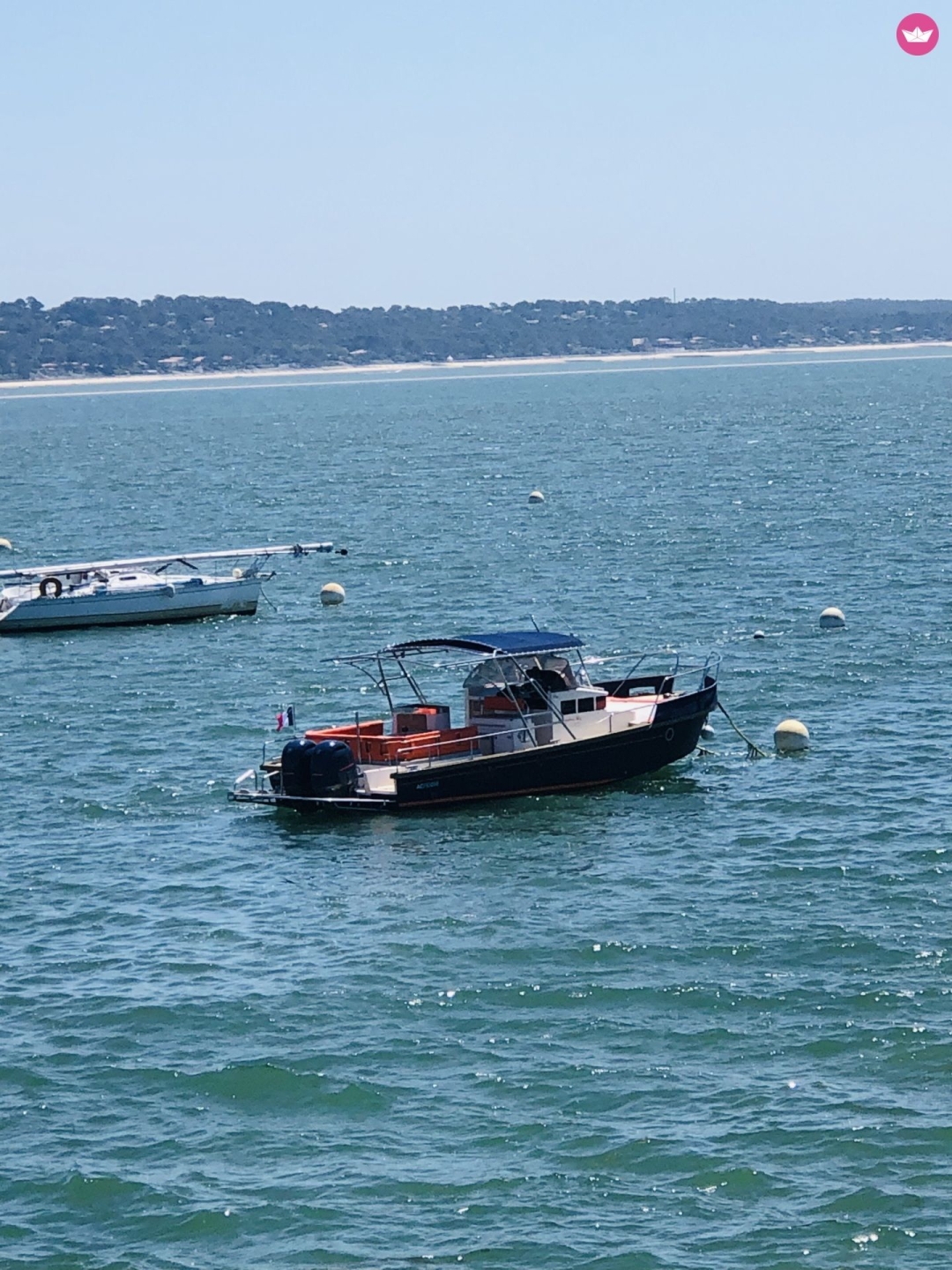 Picture 2 of announcement 19343