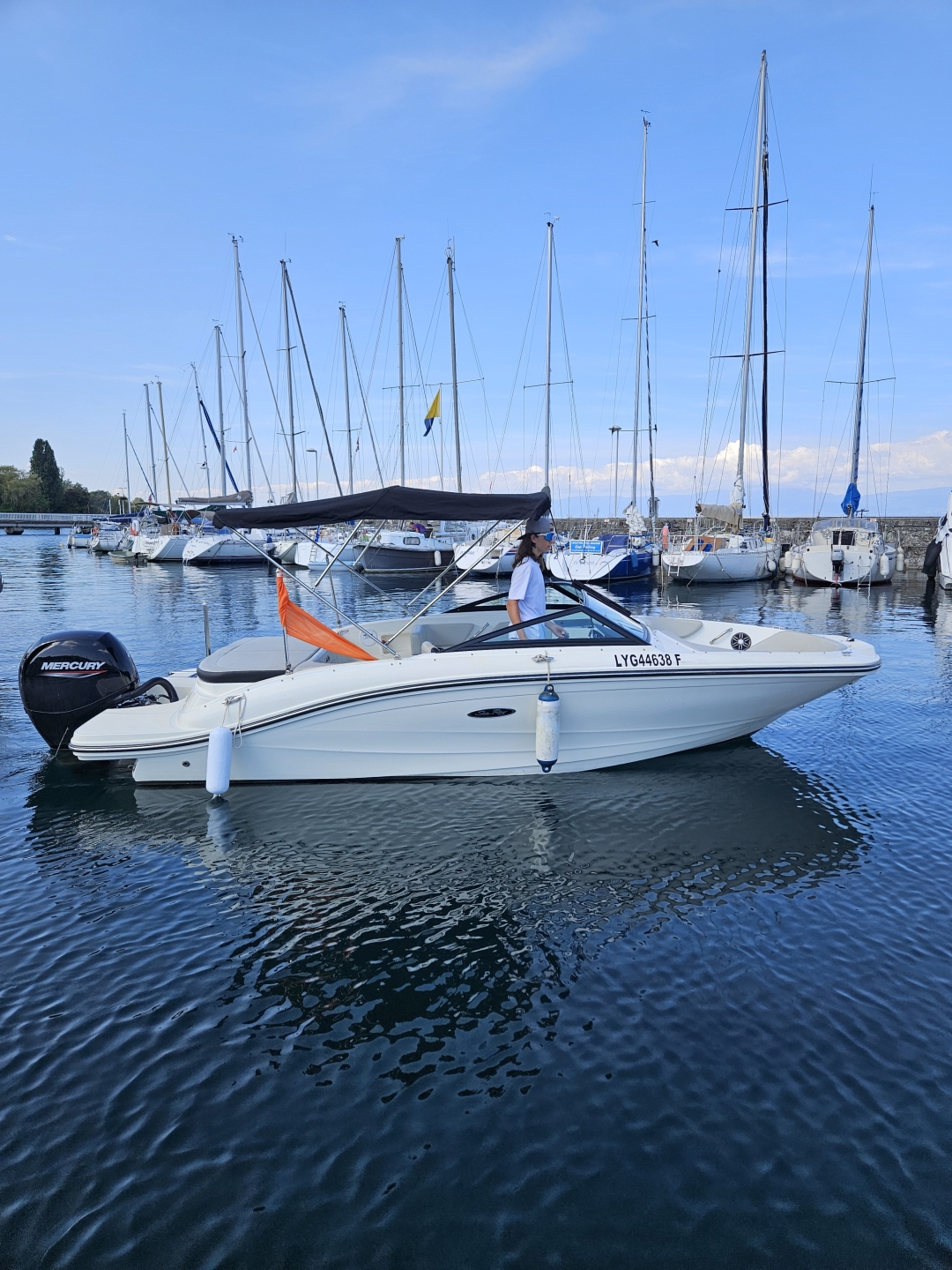 main picture announcement