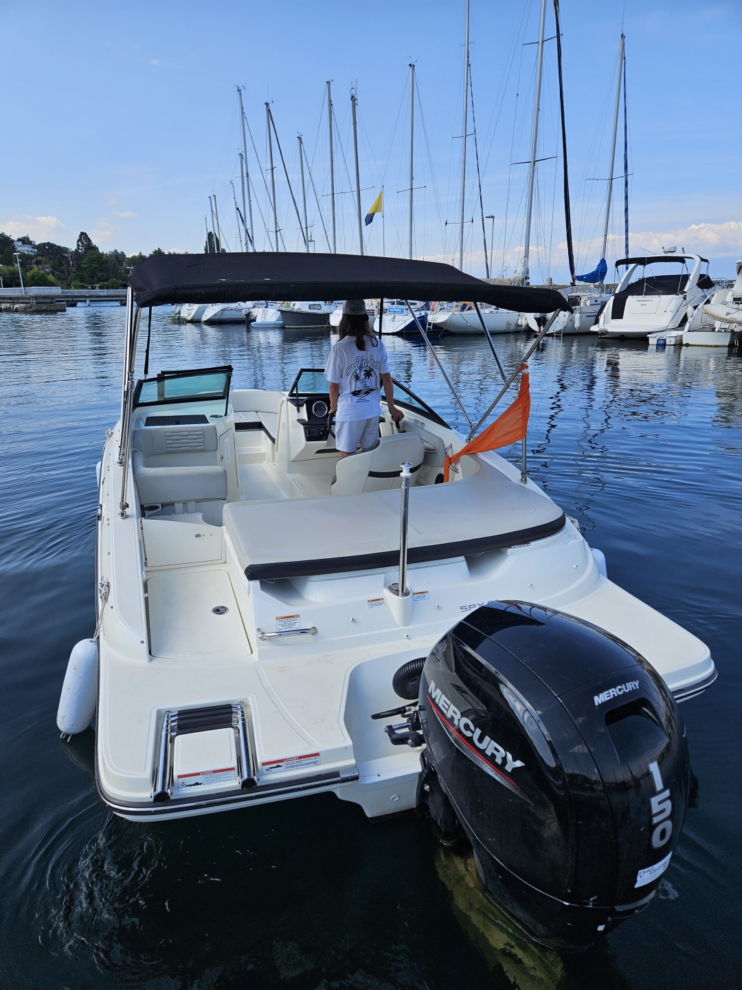 Picture 2 of announcement 19484