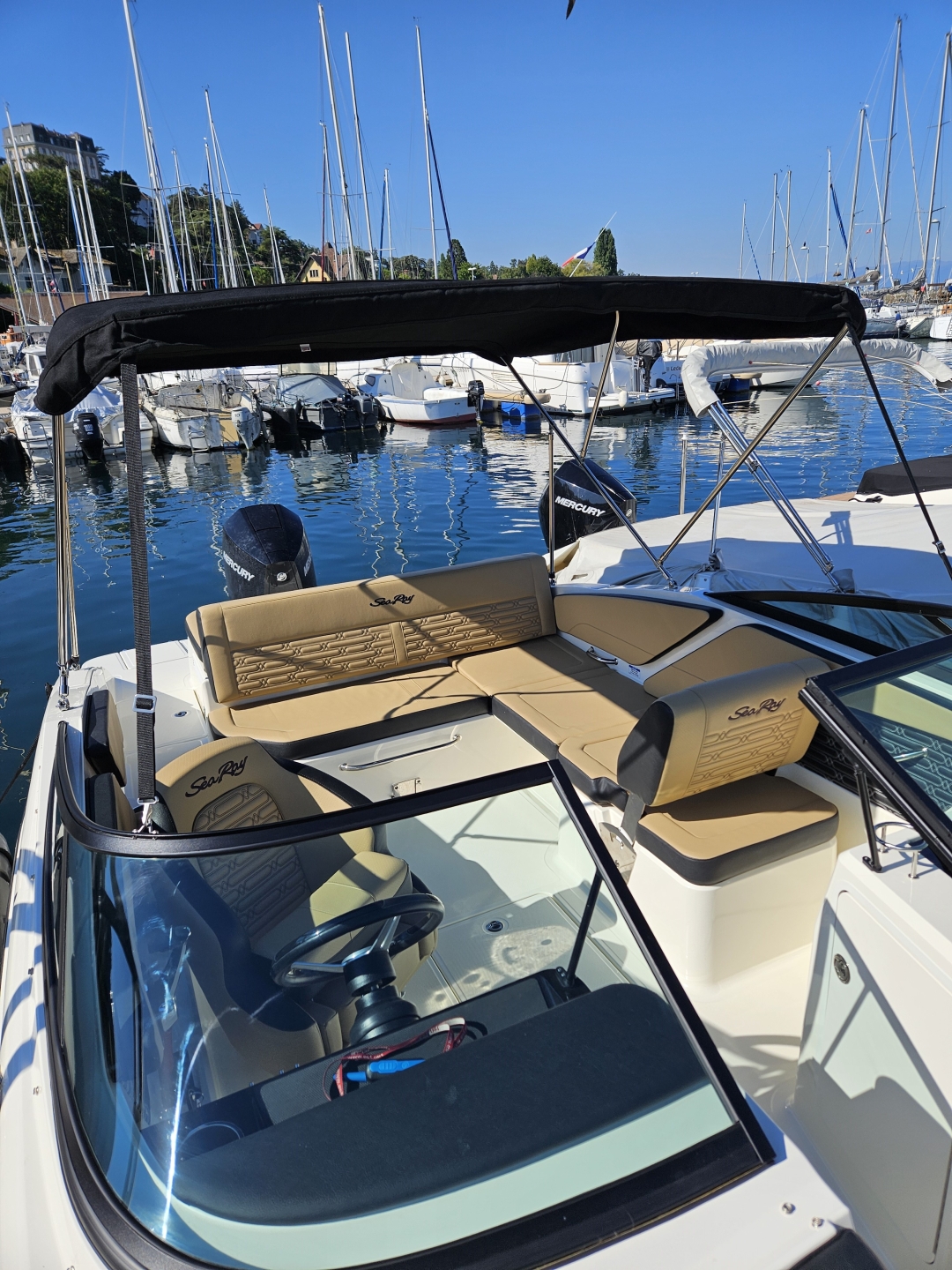 Picture 3 of announcement 19491