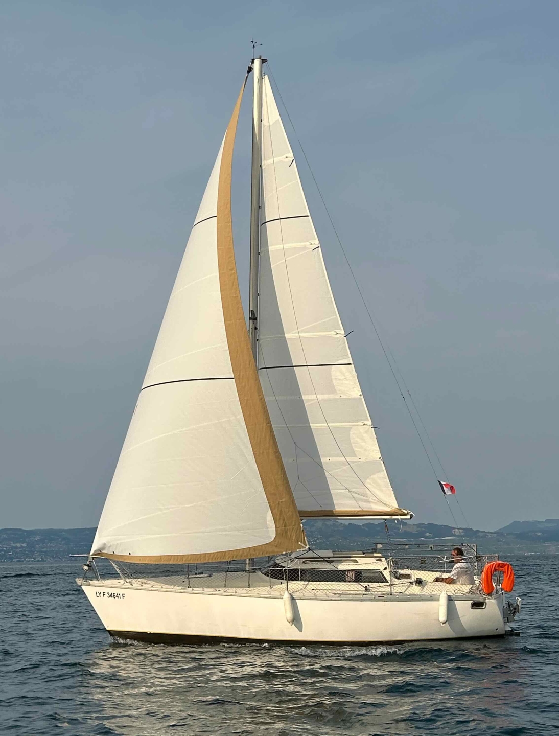 Picture 10 of announcement 19497