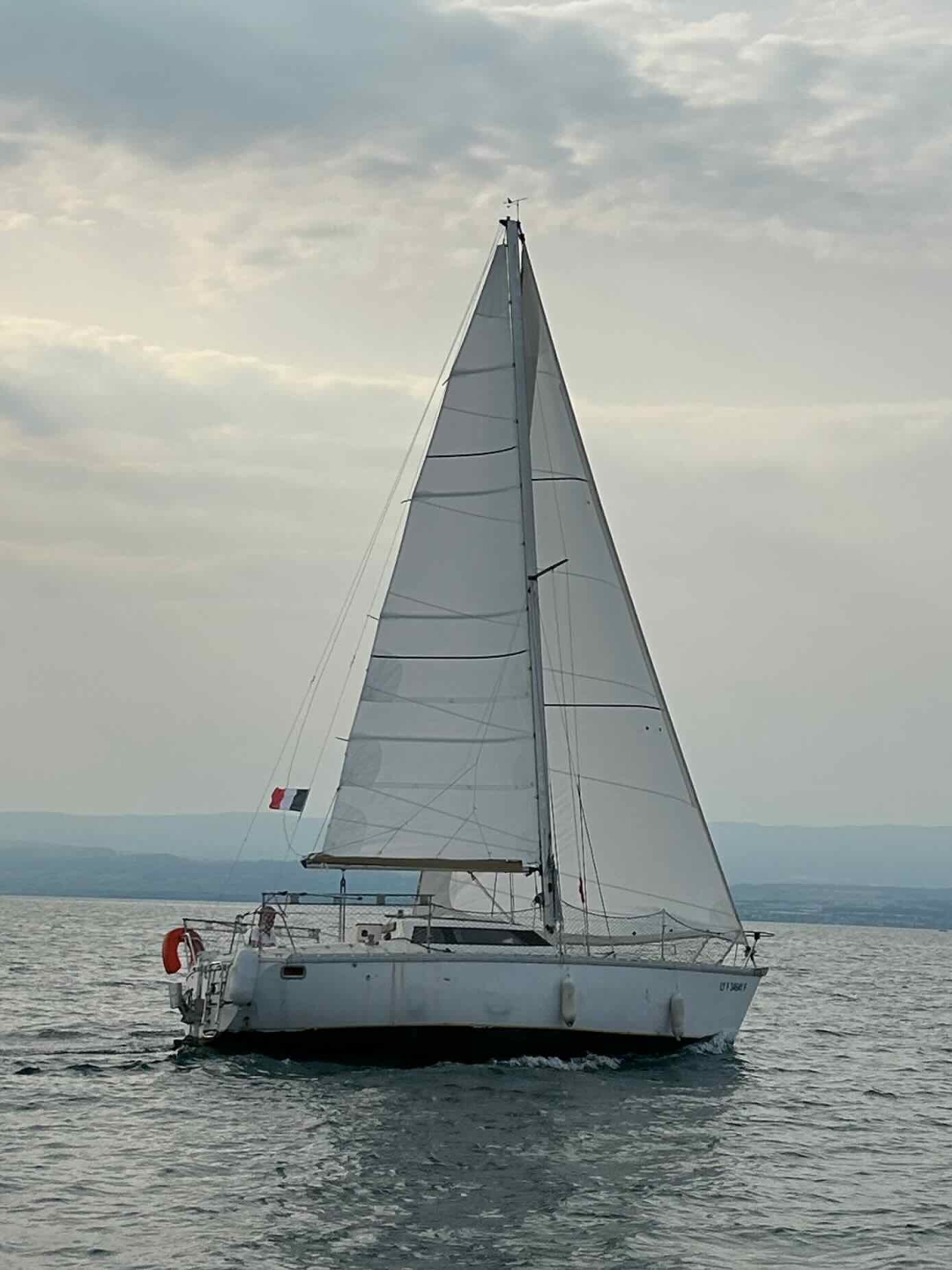 Picture 12 of announcement 19499