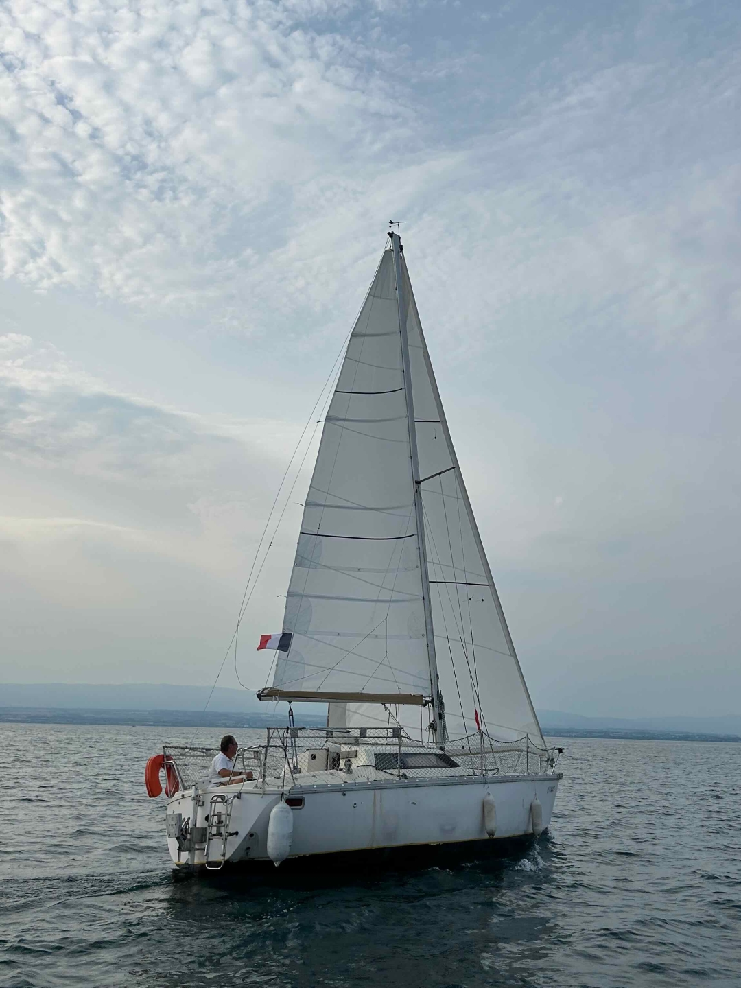 Picture 13 of announcement 19500