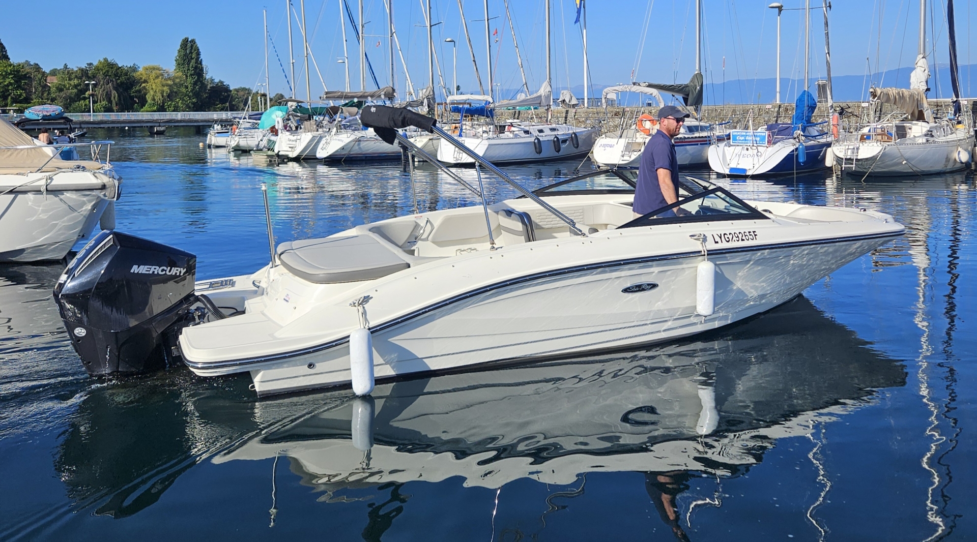 main picture announcement