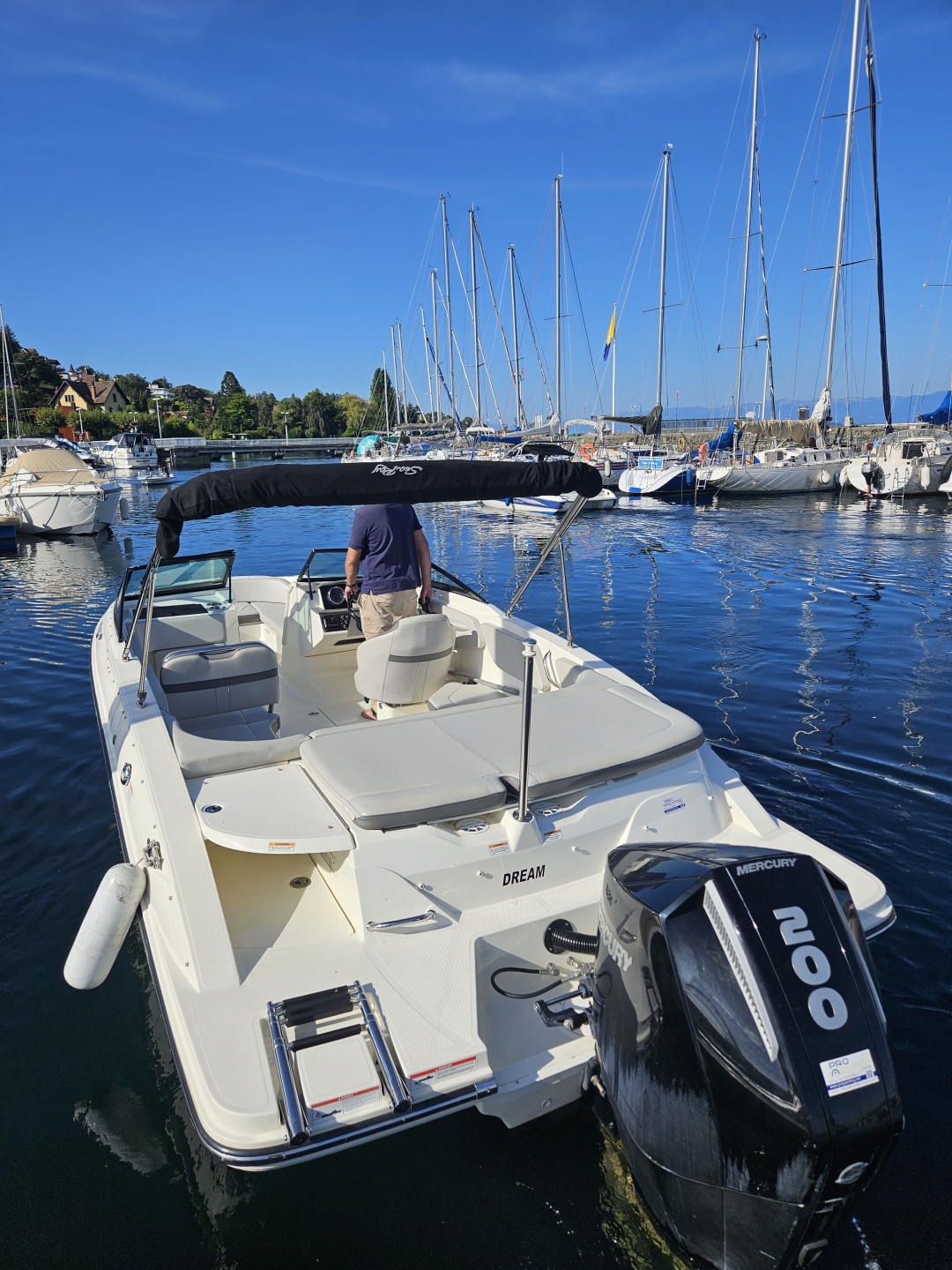 Picture 3 of announcement 19541