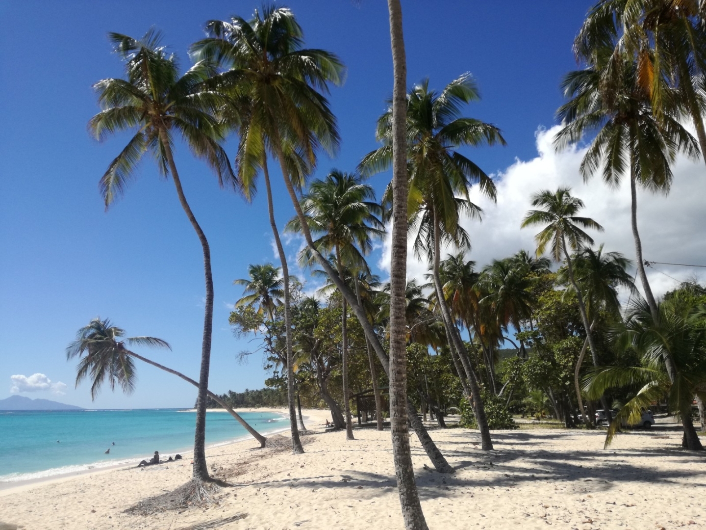 Picture 9 of announcement 19938