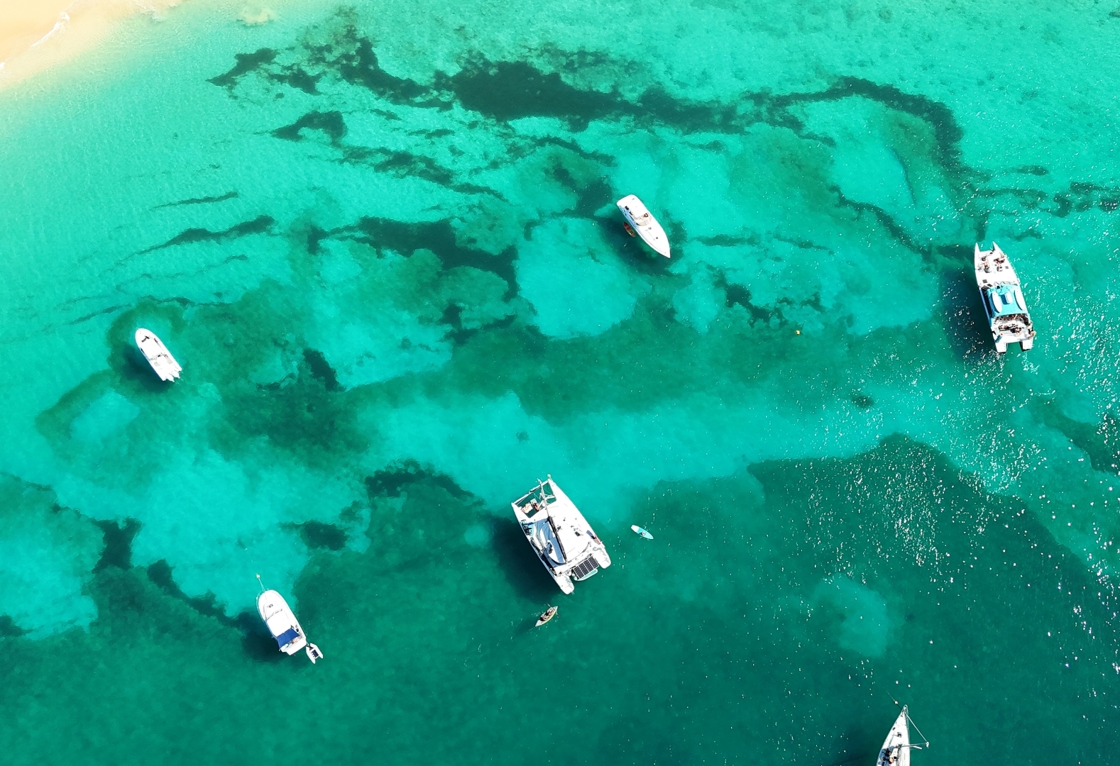 Picture 23 of announcement 19953