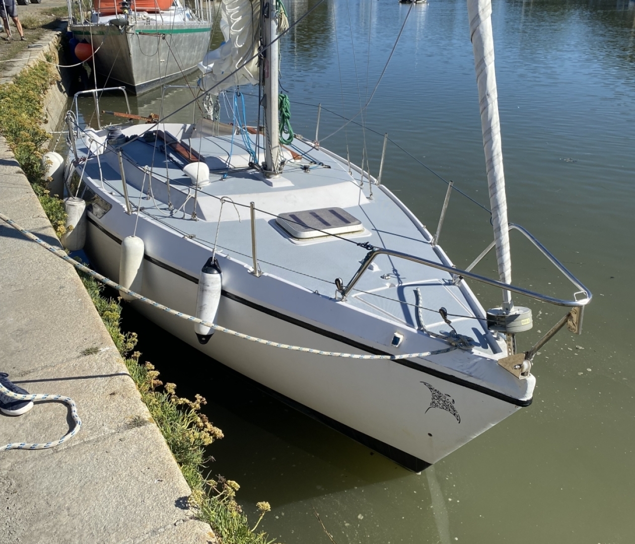 Picture 2 of announcement 20495