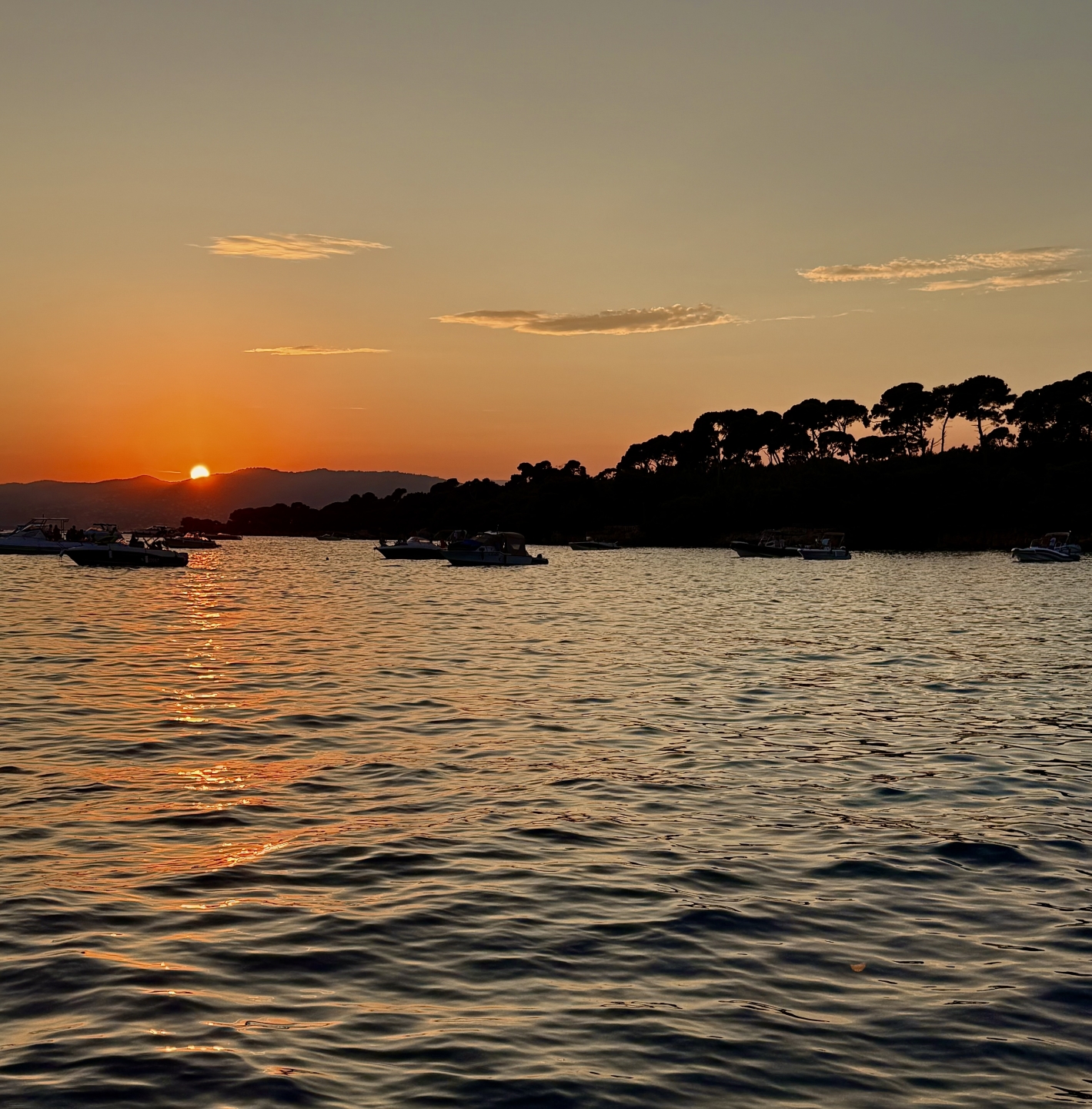 Picture 3 of announcement 21233