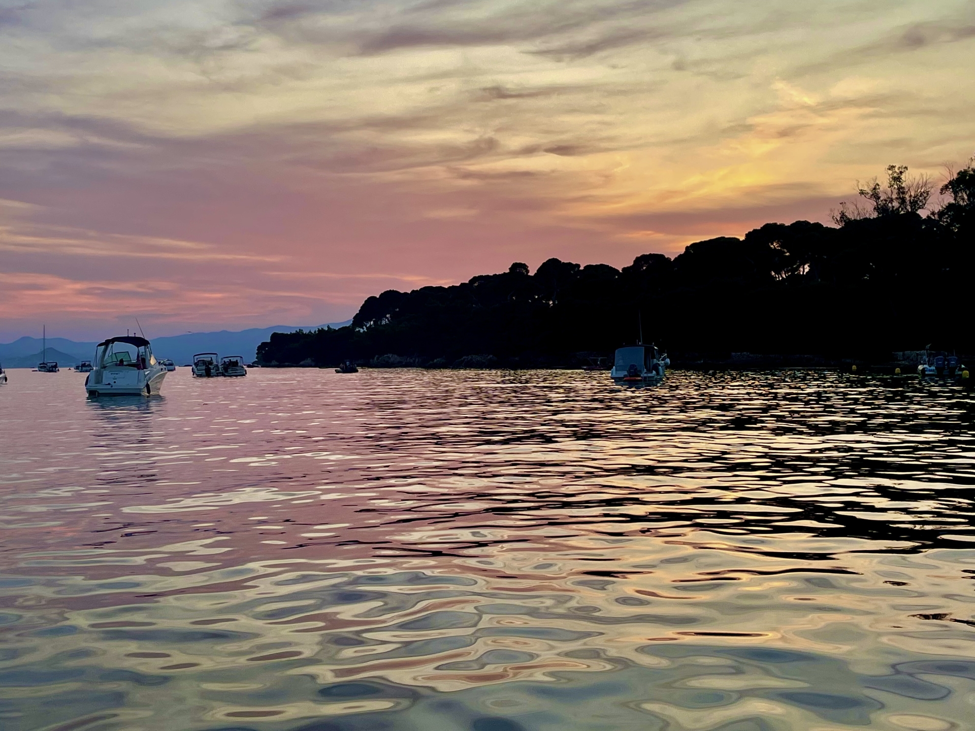 Picture 5 of announcement 21235