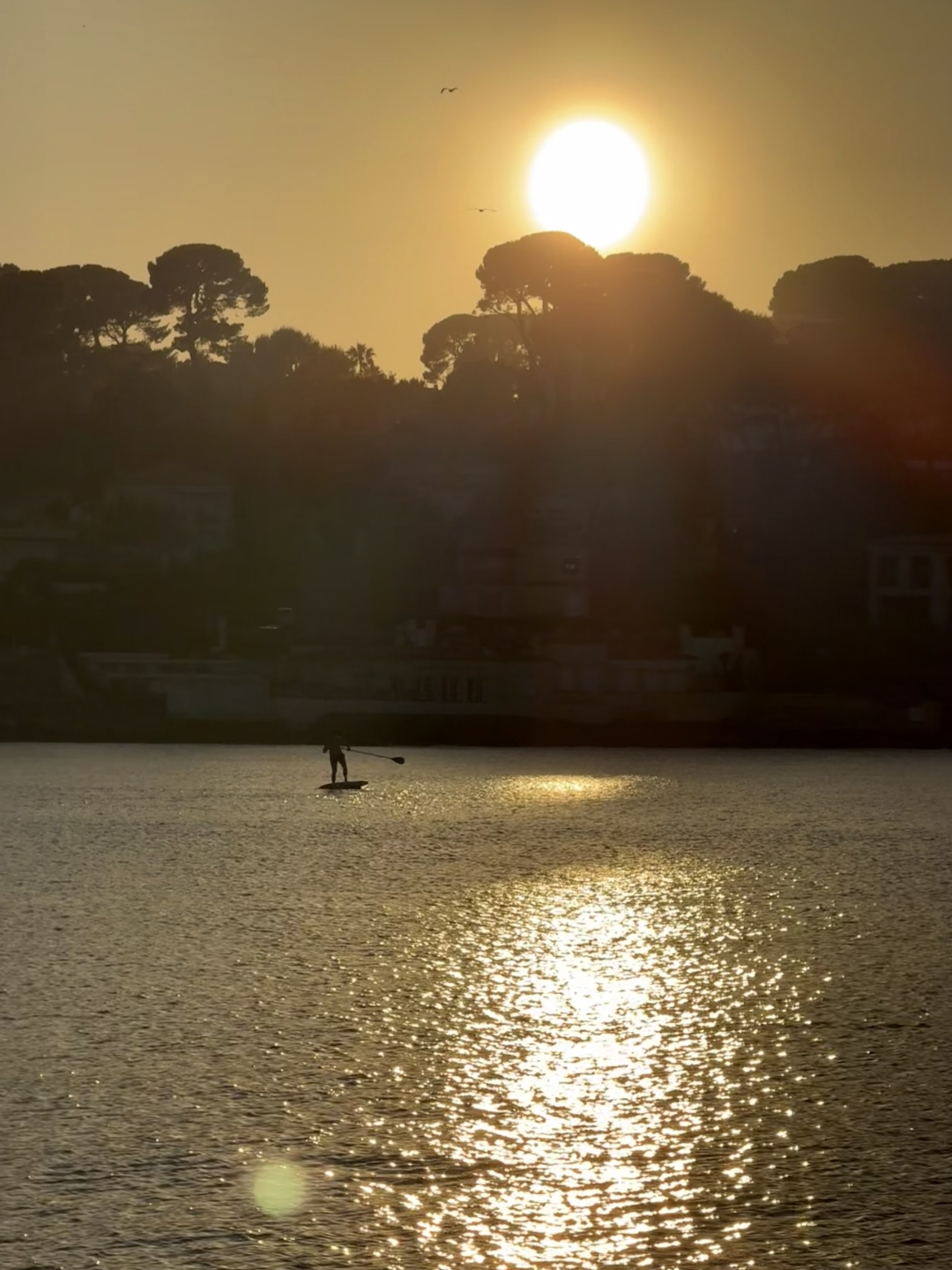 Picture 2 of announcement 21236