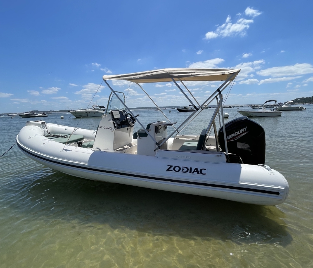 main picture announcement