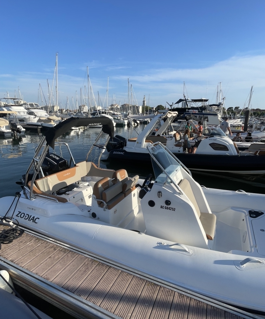 Picture 6 of announcement 21331