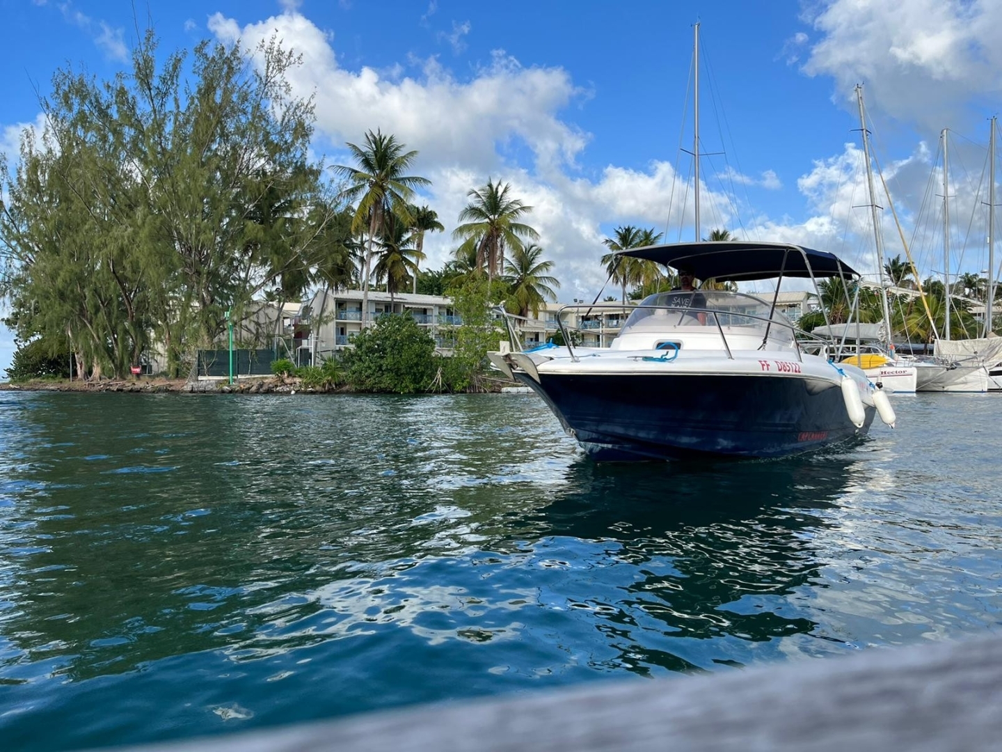 Picture 5 of announcement 21764