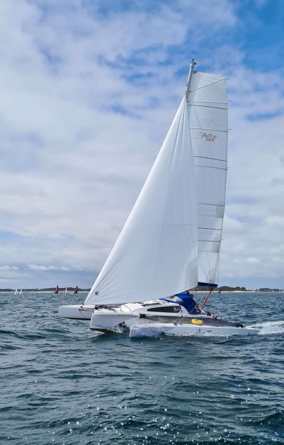 Picture 4 of announcement 22171