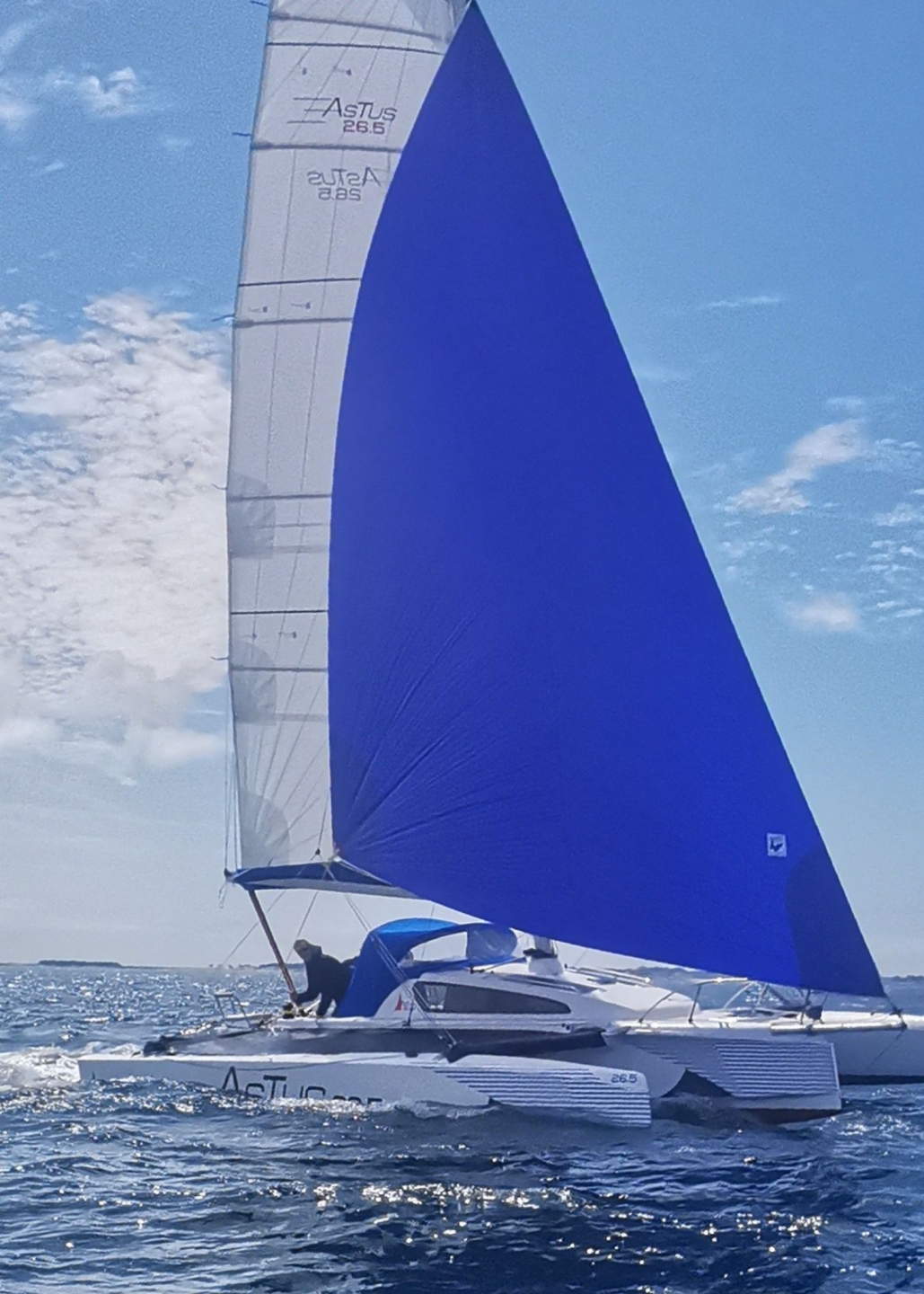 Picture 6 of announcement 22181