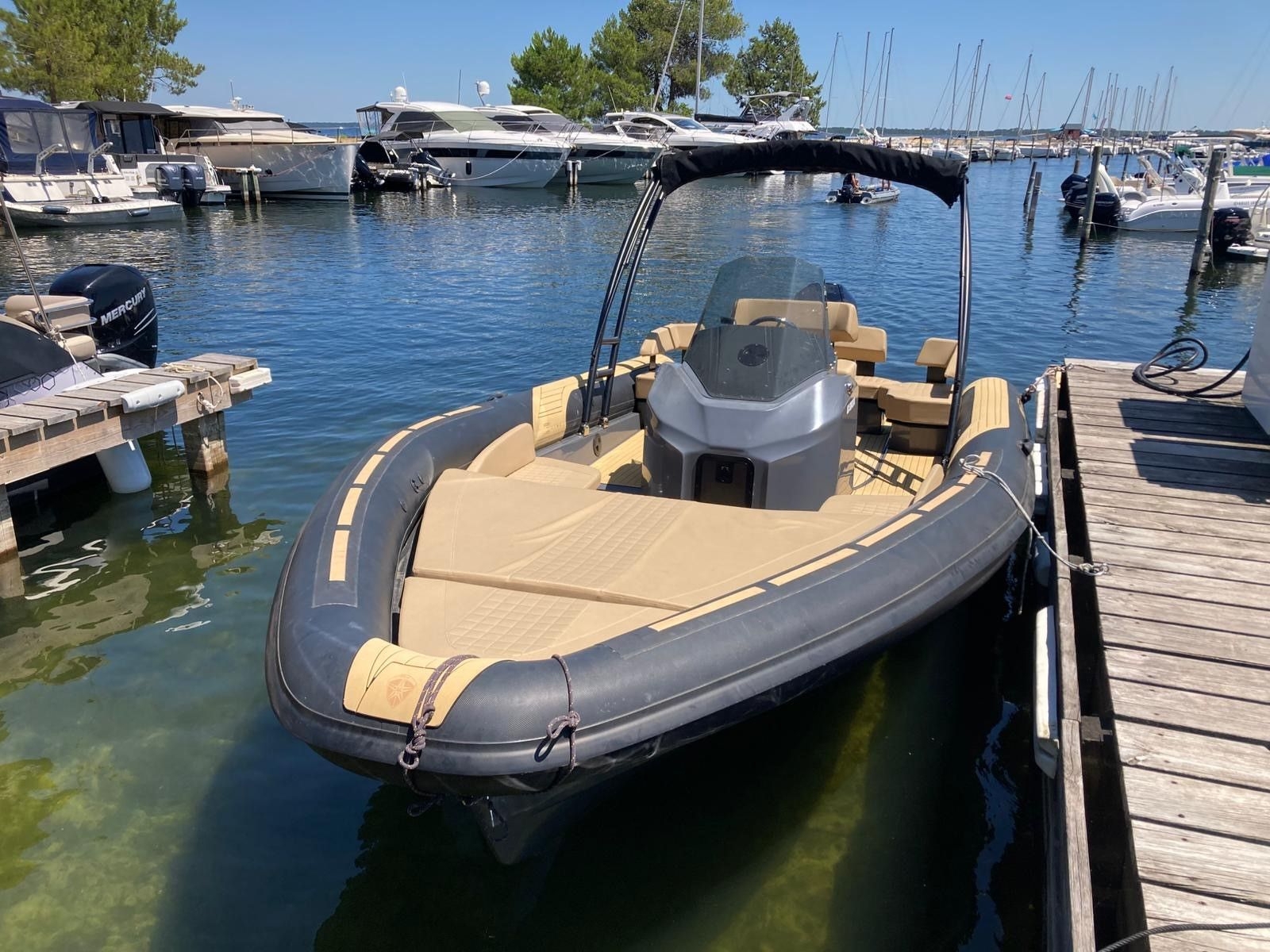 main picture announcement