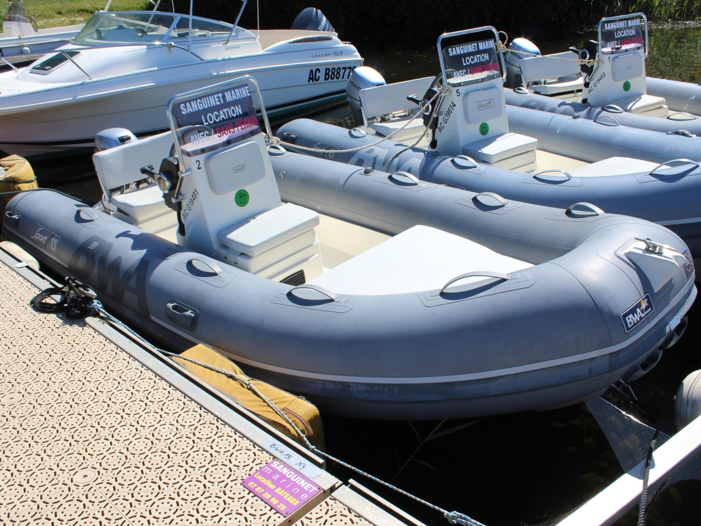 Picture 2 of announcement 22350