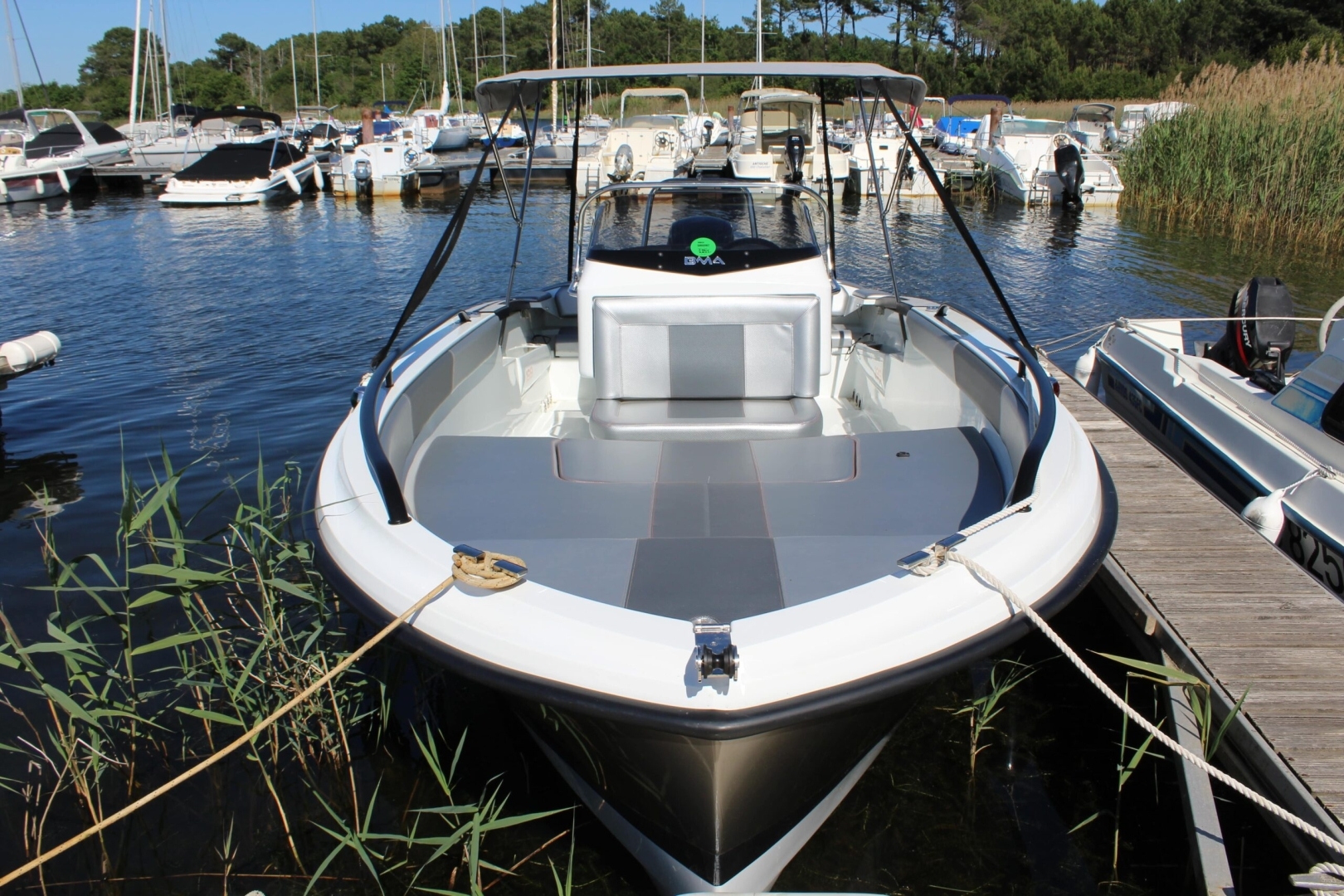 Picture 5 of announcement 22386