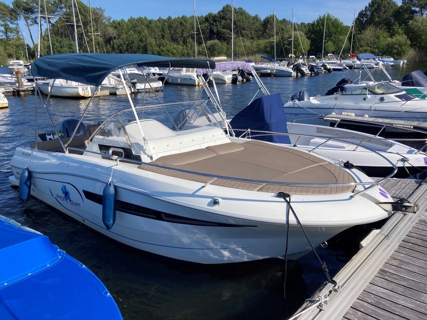 main picture announcement