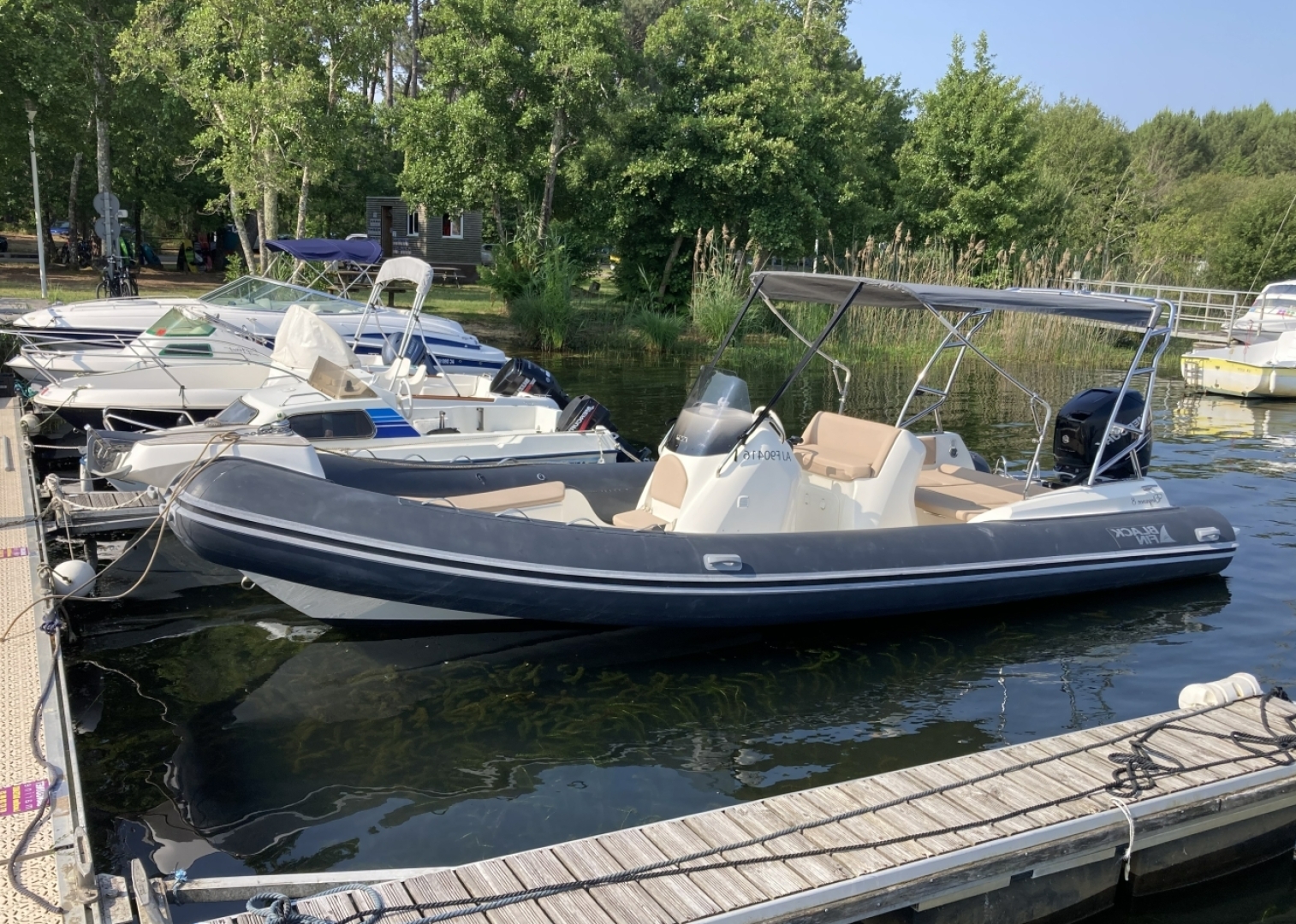 main picture announcement