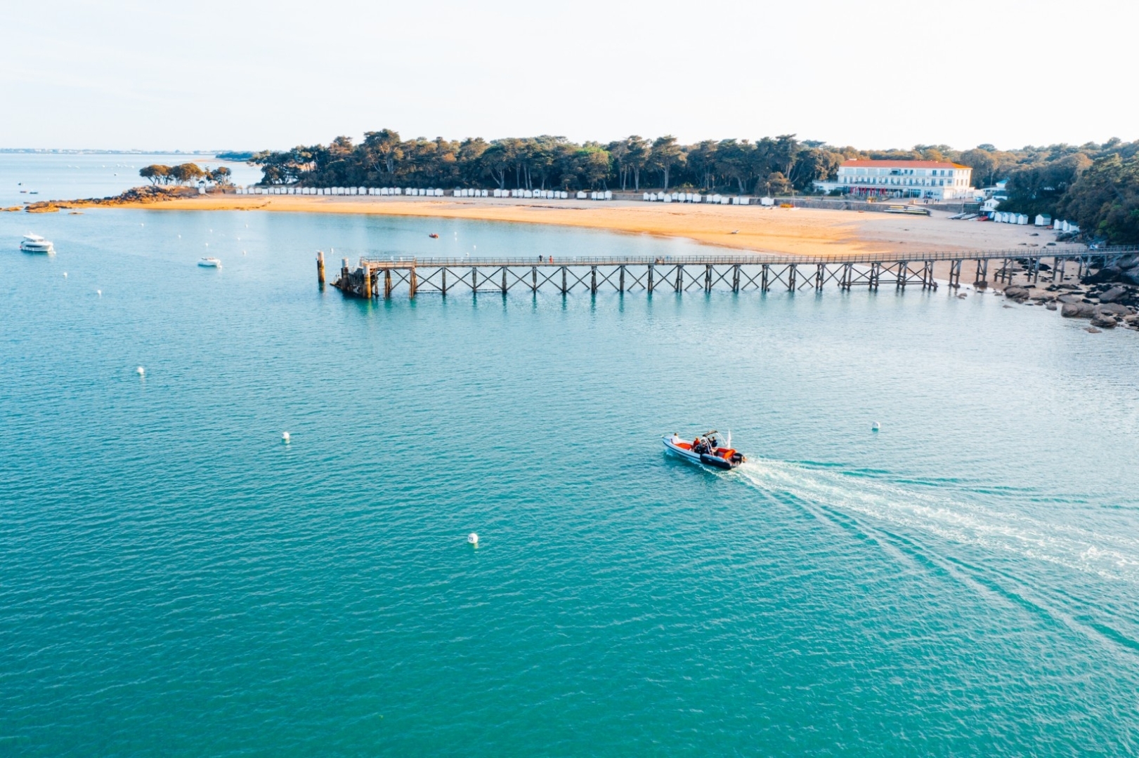 Picture 6 of announcement 22820