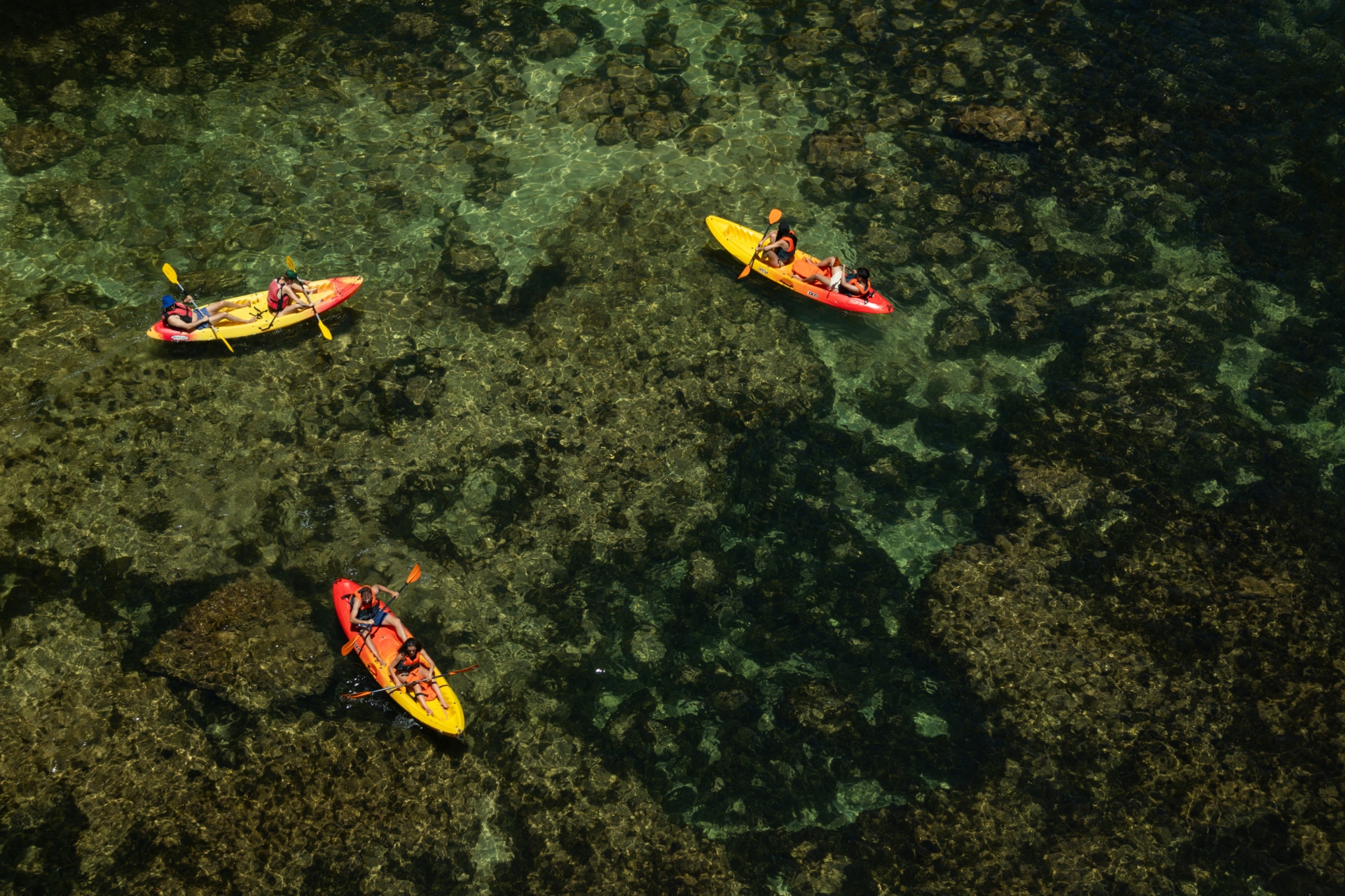 Picture 2 of announcement 22902