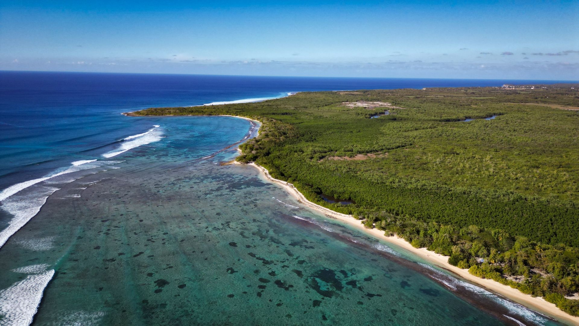 Picture 6 of announcement 22928