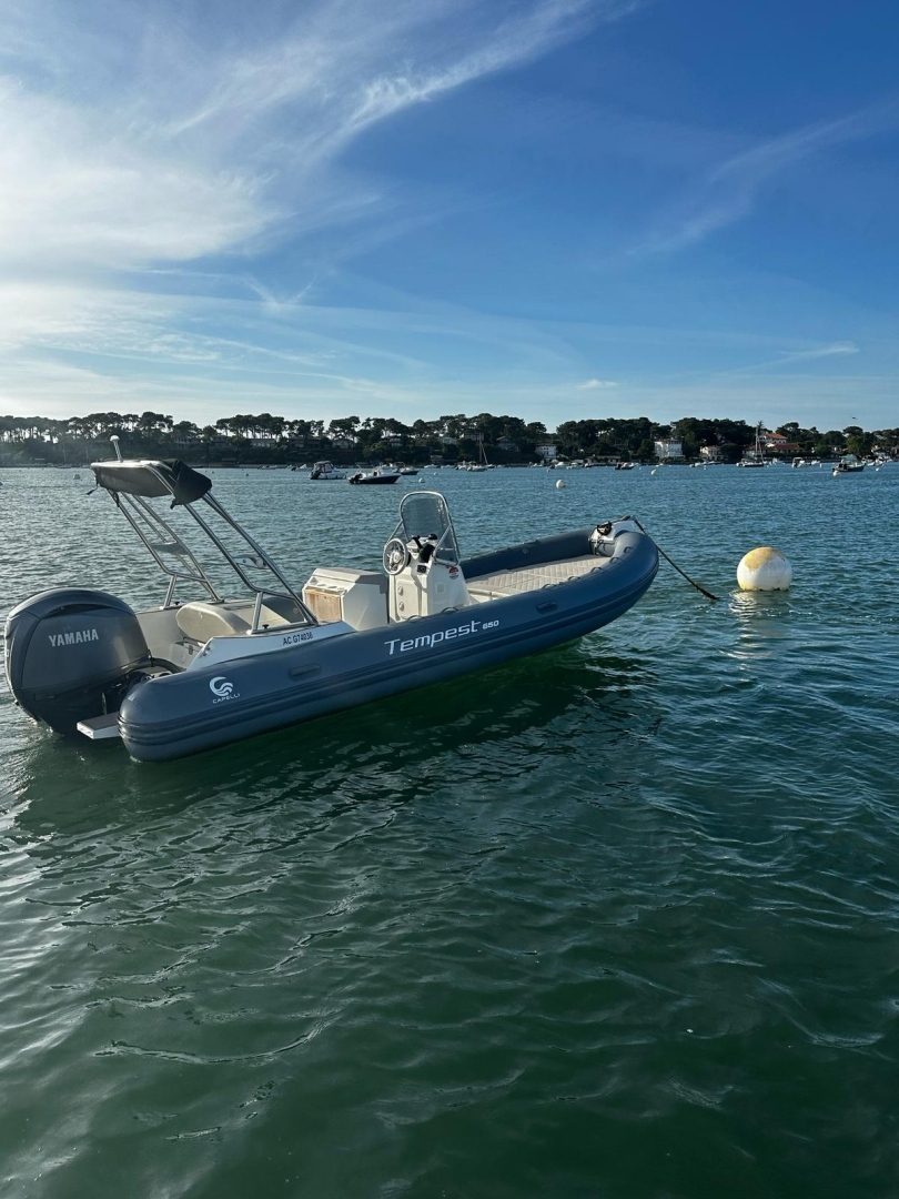 main picture announcement