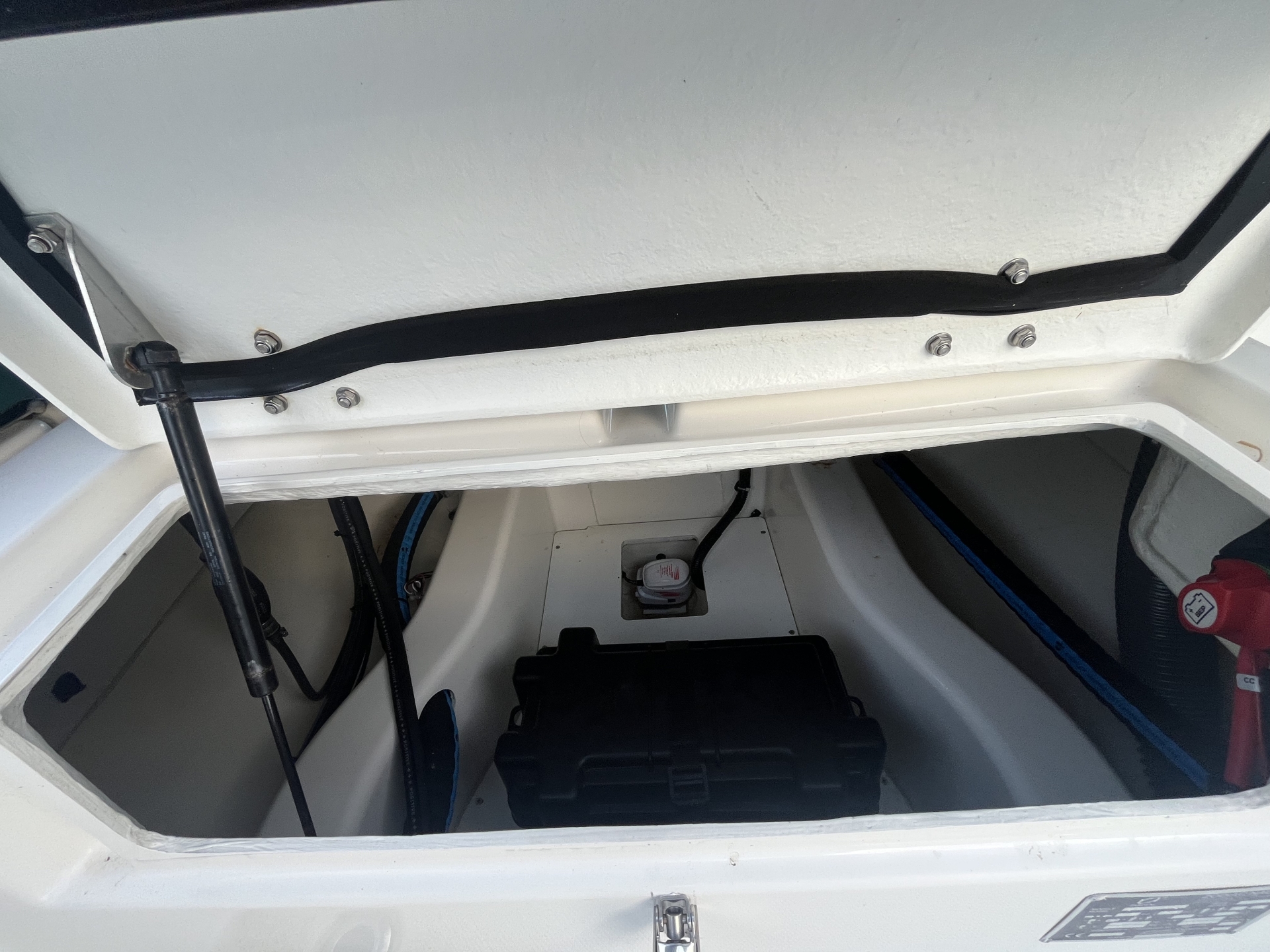 Picture 8 of announcement 23935