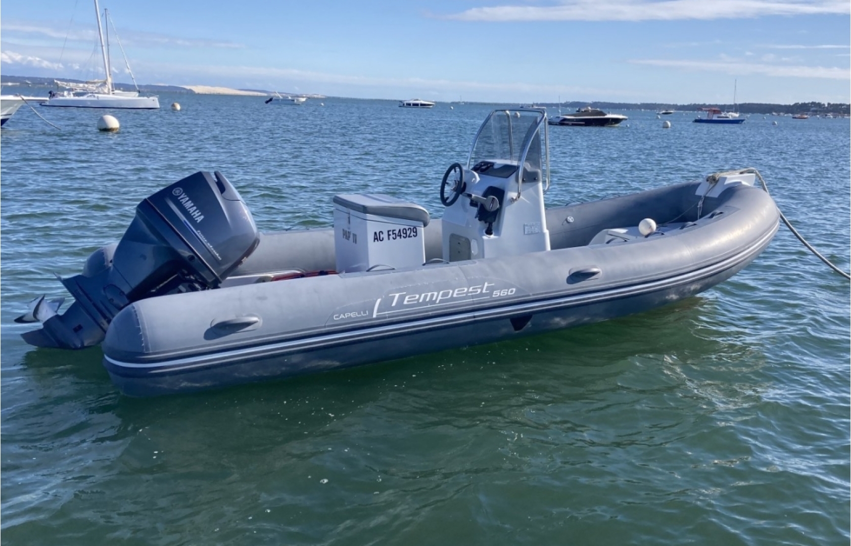 main picture announcement