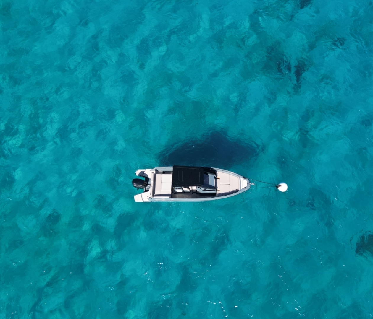 Picture 6 of announcement 24613