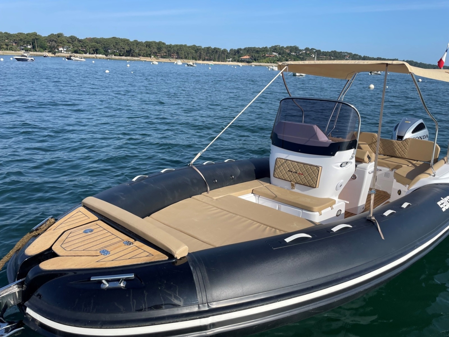 Picture 3 of announcement 25100