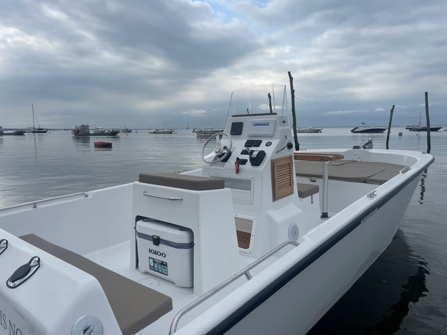 main picture announcement