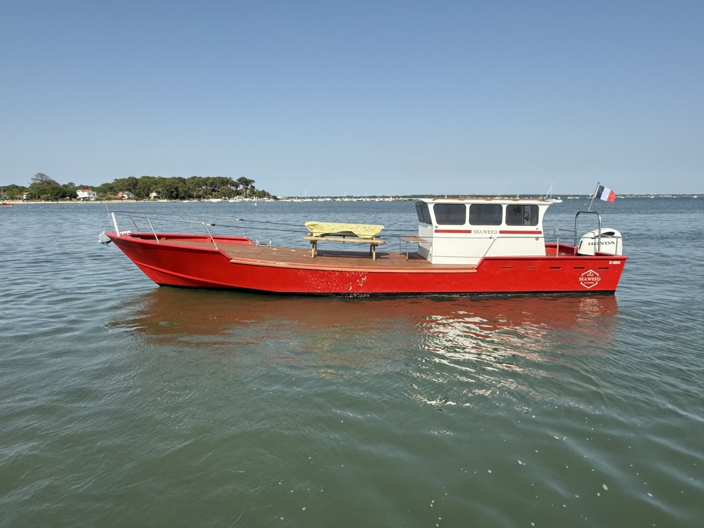 main picture announcement