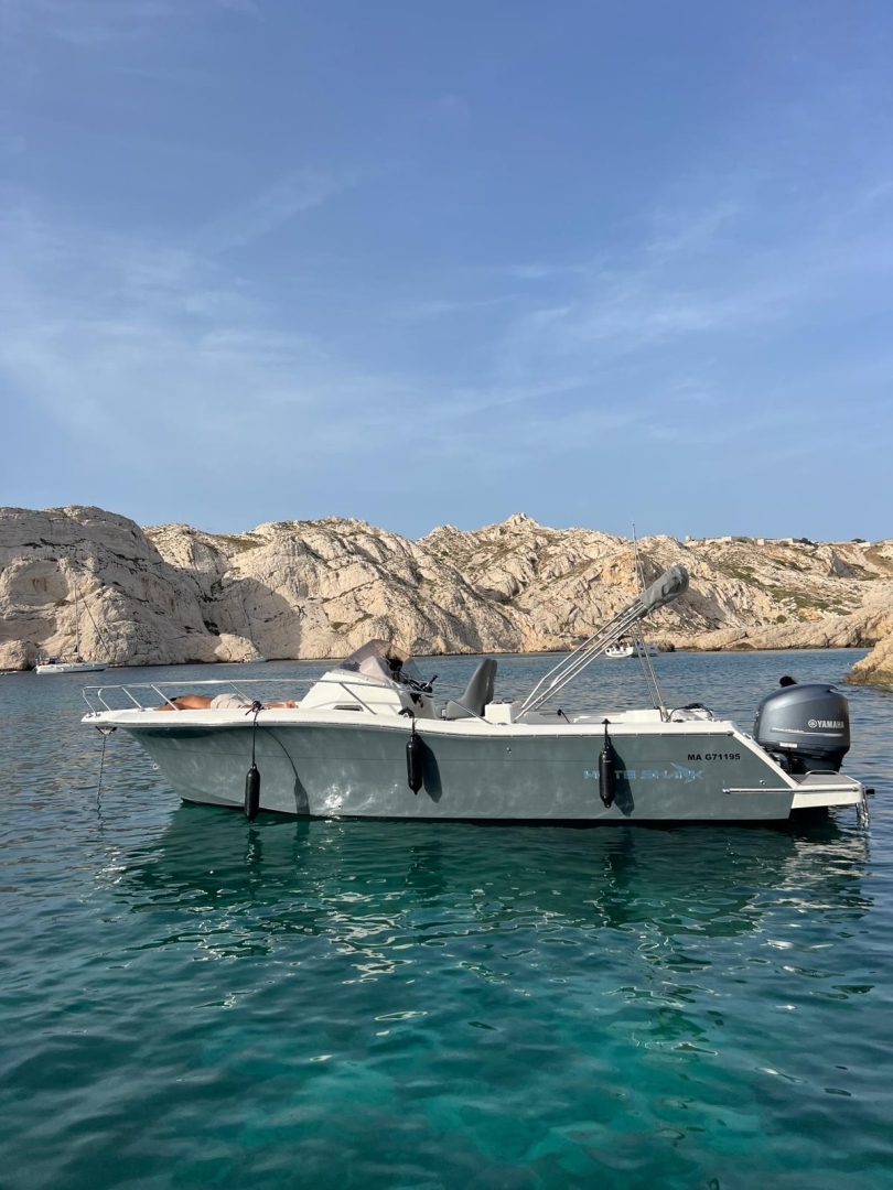 main picture announcement