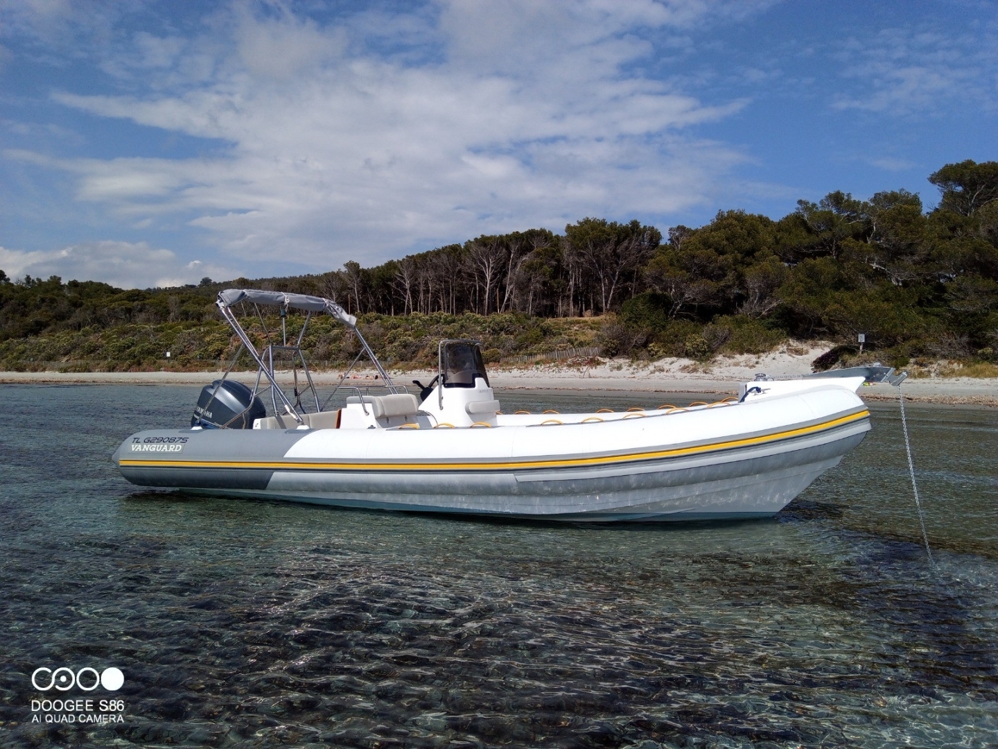 Picture 10 of announcement 28239