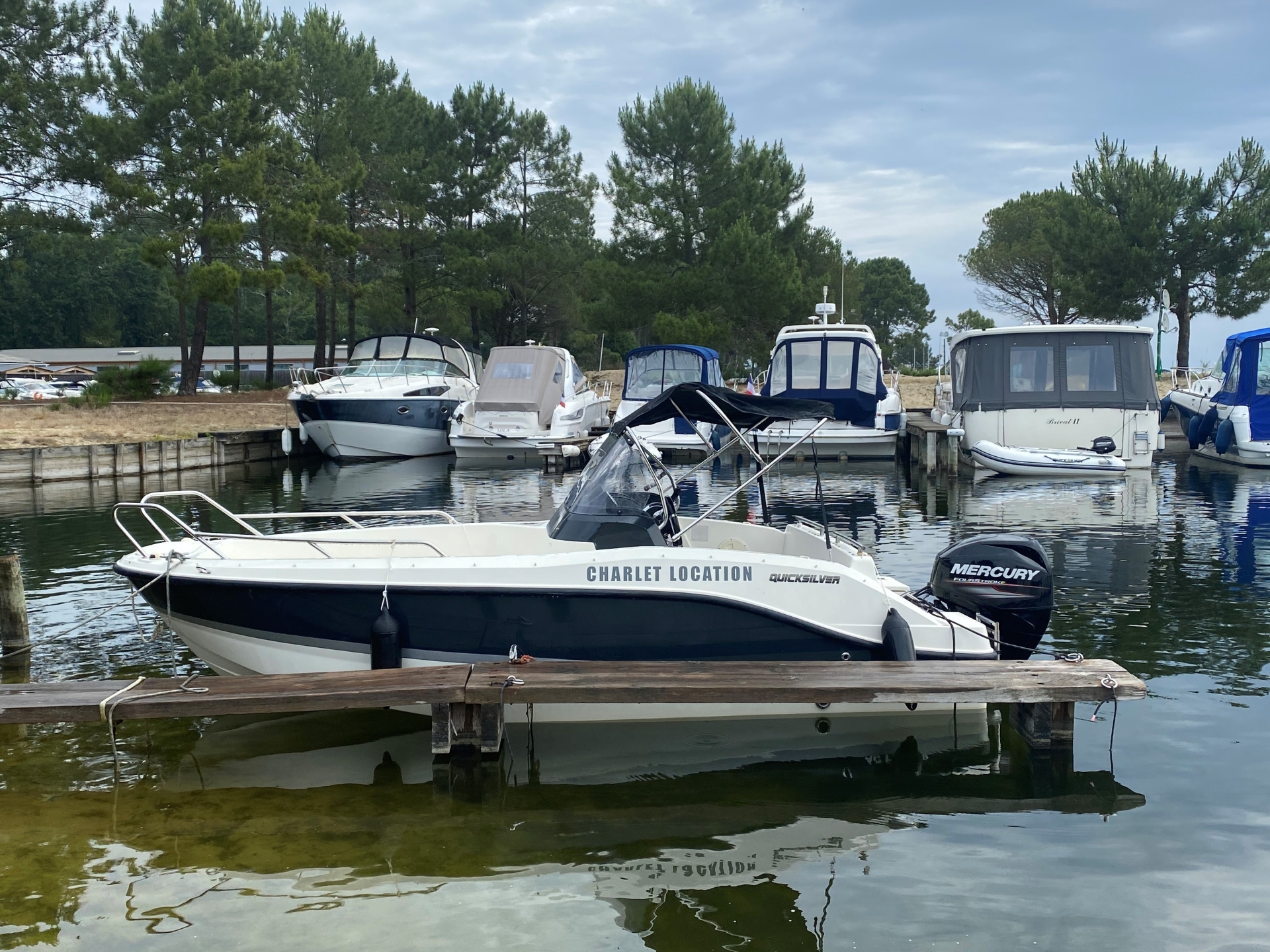 Picture 3 of announcement 28711