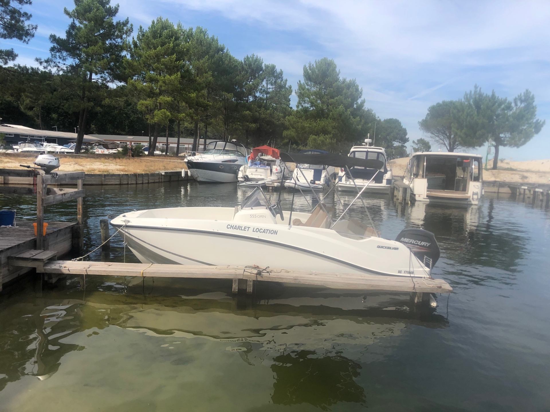 main picture announcement