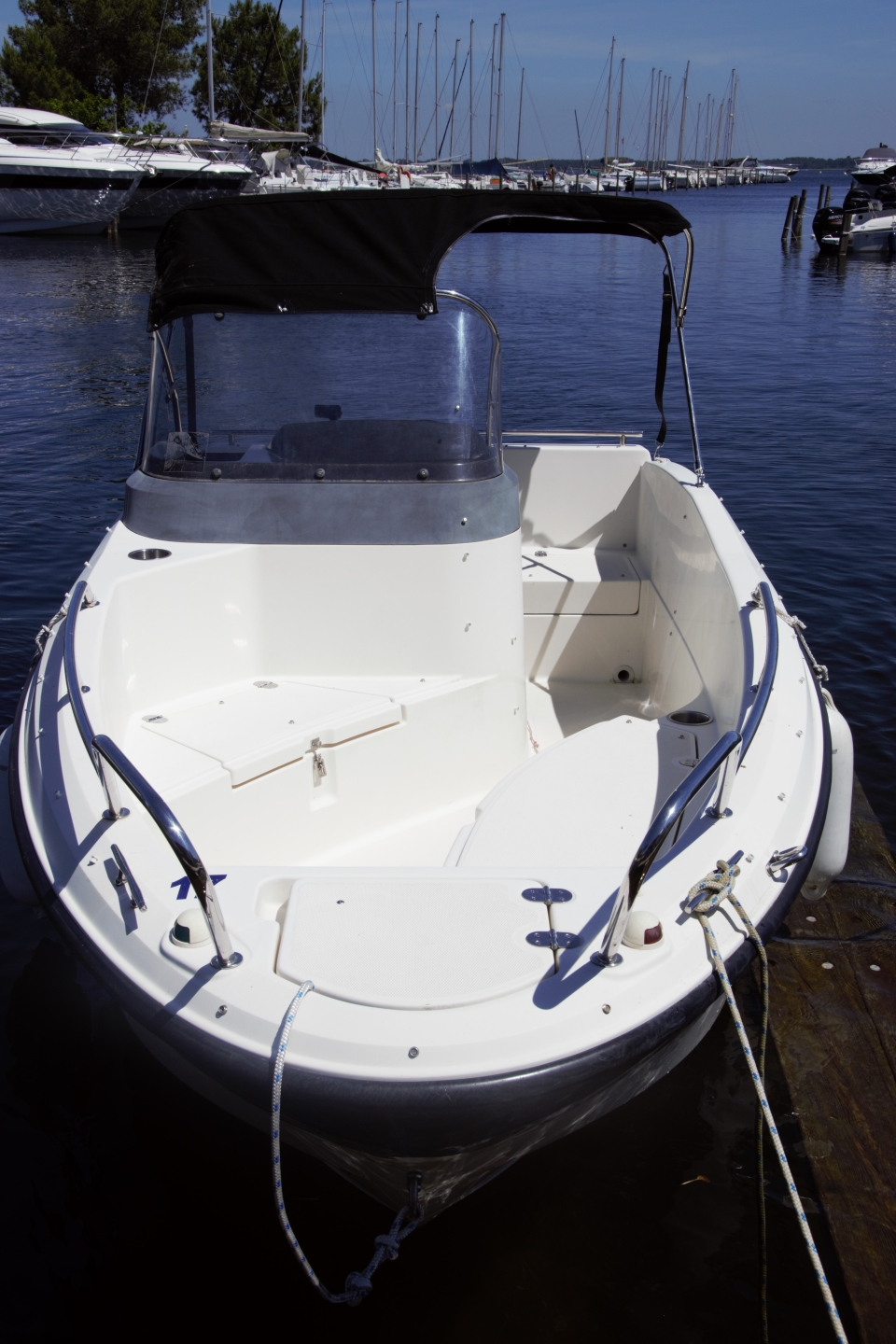 main picture announcement