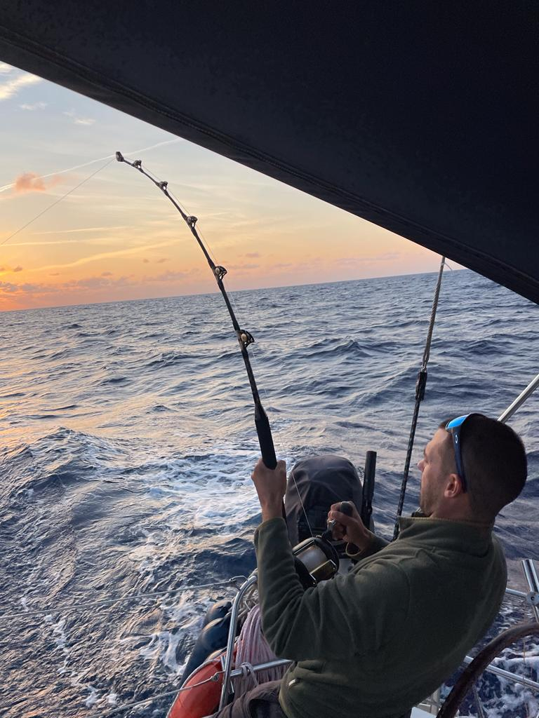 Picture 6 of announcement 29780